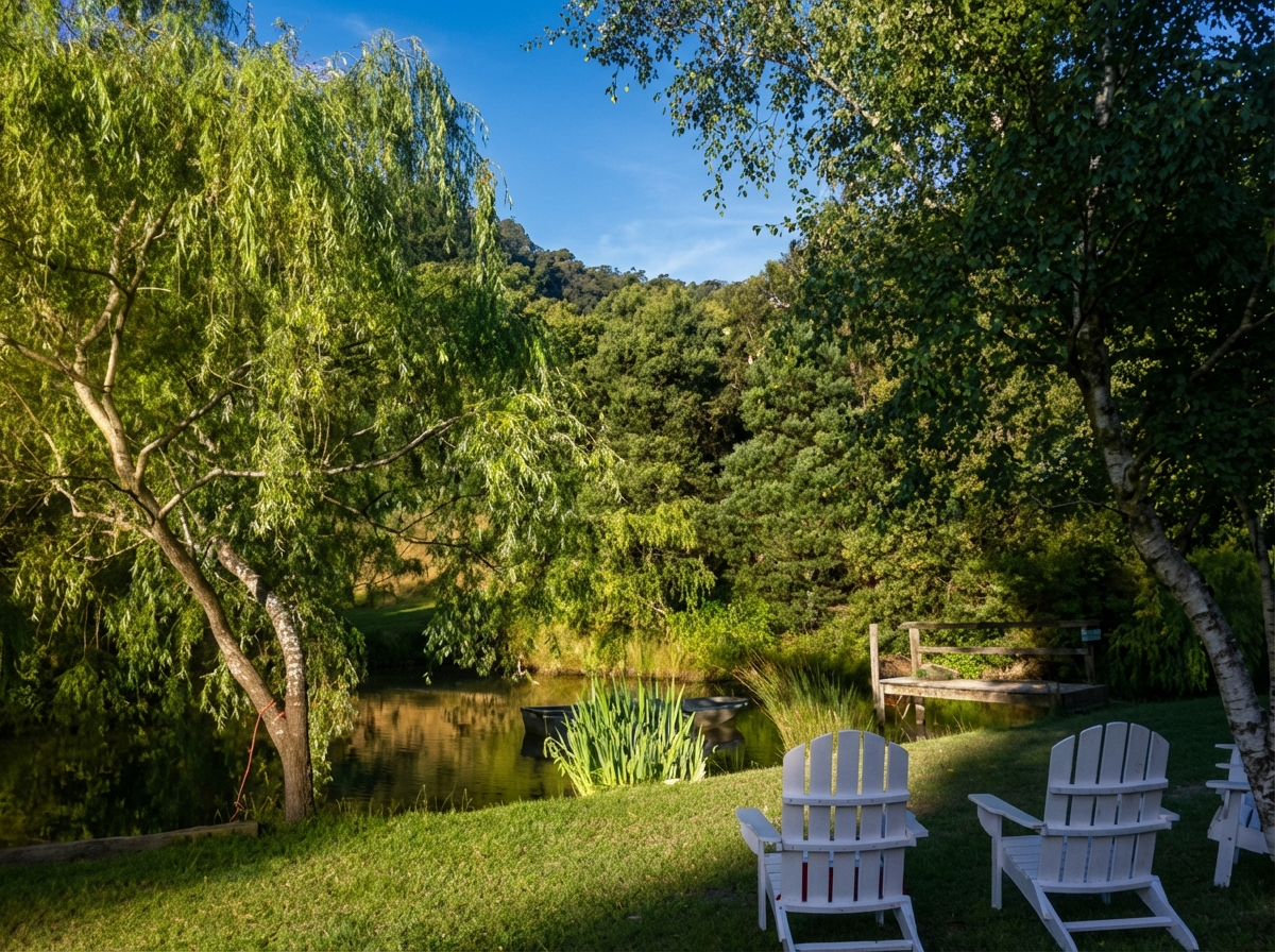 Pond and chairs